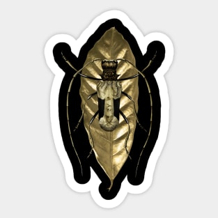 Gold Insect Sticker